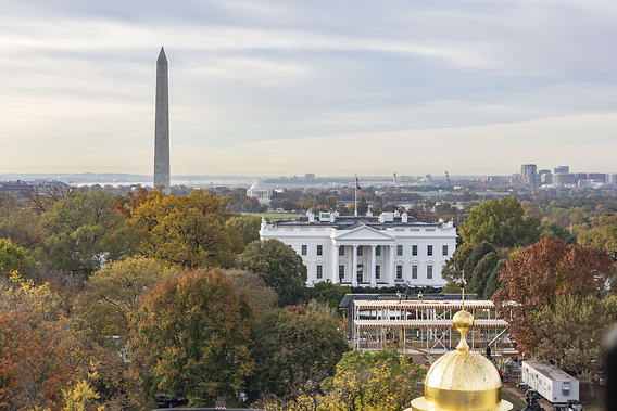 A Week in Washington DC