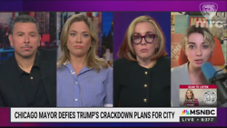Dem Describes ICE as 'Goons' and 'Cowards'