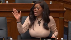 Jasmine Crockett Goes After 'White' Republicans