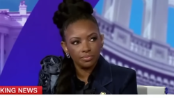 Senator Jasmine Crockett?