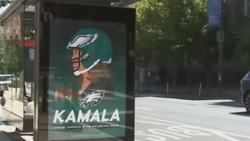 Counterfeit Kamala Ads Blanket Philadelphia