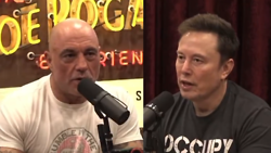 Rogan and Musk Defend 'Peanut The Squirrel'