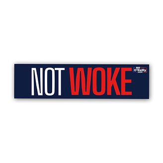 Not Woke - Pack of 5 stickers